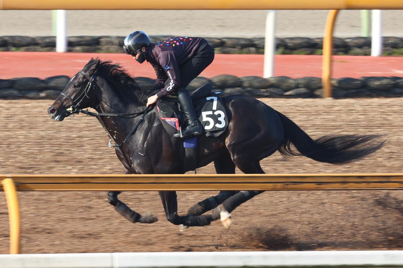 Cウッドを馬なりで追うトップナイフ