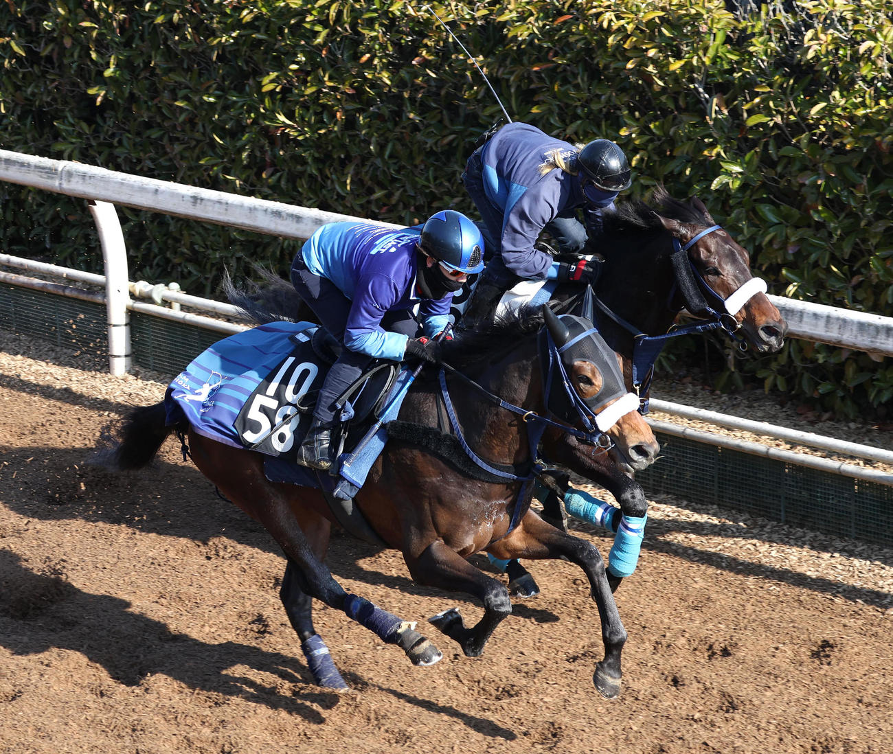 松山騎手を背に坂路をディクテオン（奥）と併せ馬で追い切るマラキナイア（撮影・白石智彦）