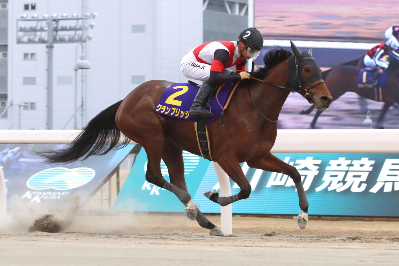 直線で抜け出しエンプレス杯を制したグランブリッジと川田将雅騎手