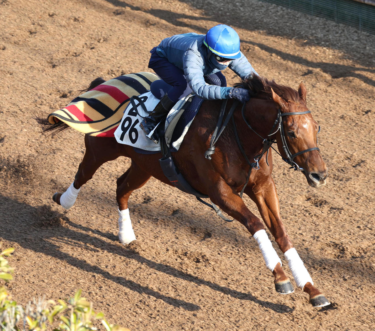 角田大河騎手を背に坂路を単走で追い切るエイシンスポッター（撮影・白石智彦）
