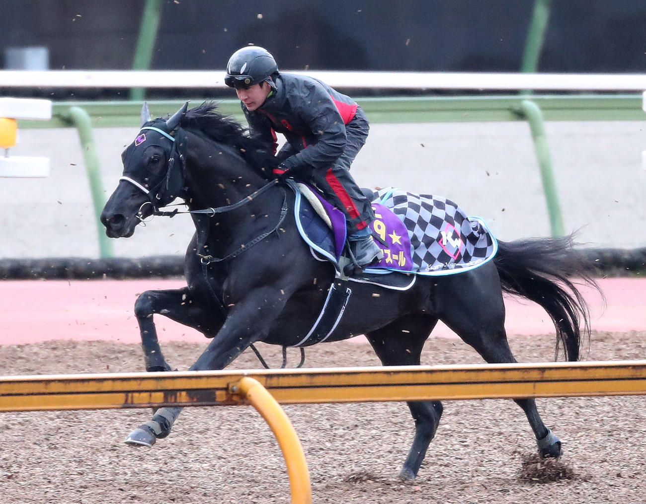Cウッドで軽快に追い切るヴェラアズール（撮影・白石智彦）