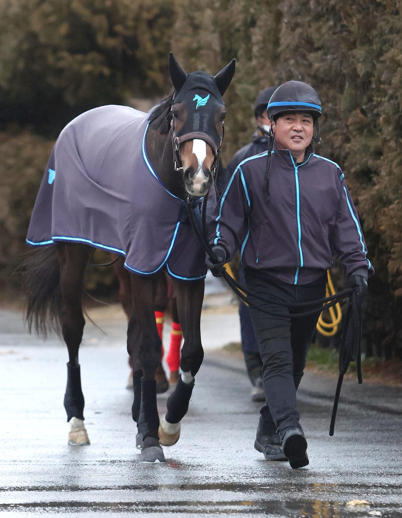 厩舎周りで運動するルカン（撮影・白石智彦）