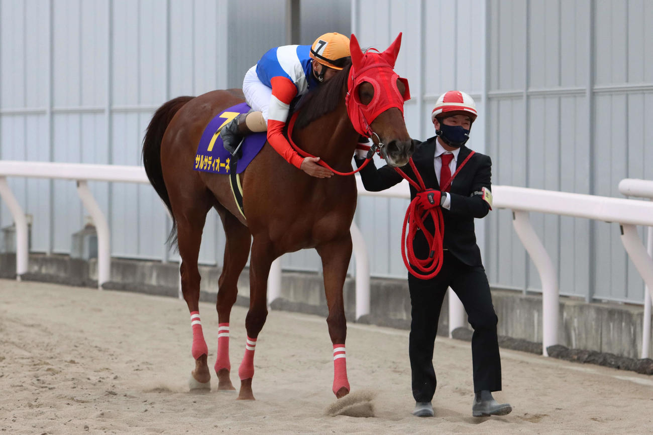 引退レースとなったエンプレス杯を終えて引き揚げてきたサルサディオーネ（2023年3月1日撮影）