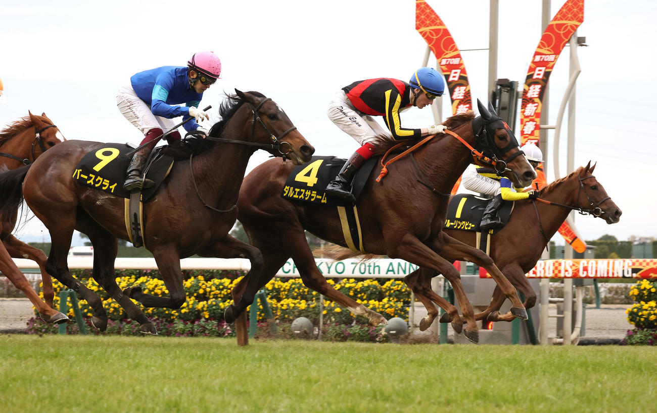 紅梅Sを制したダルエスサラーム（中央）（2023年1月15日撮影）