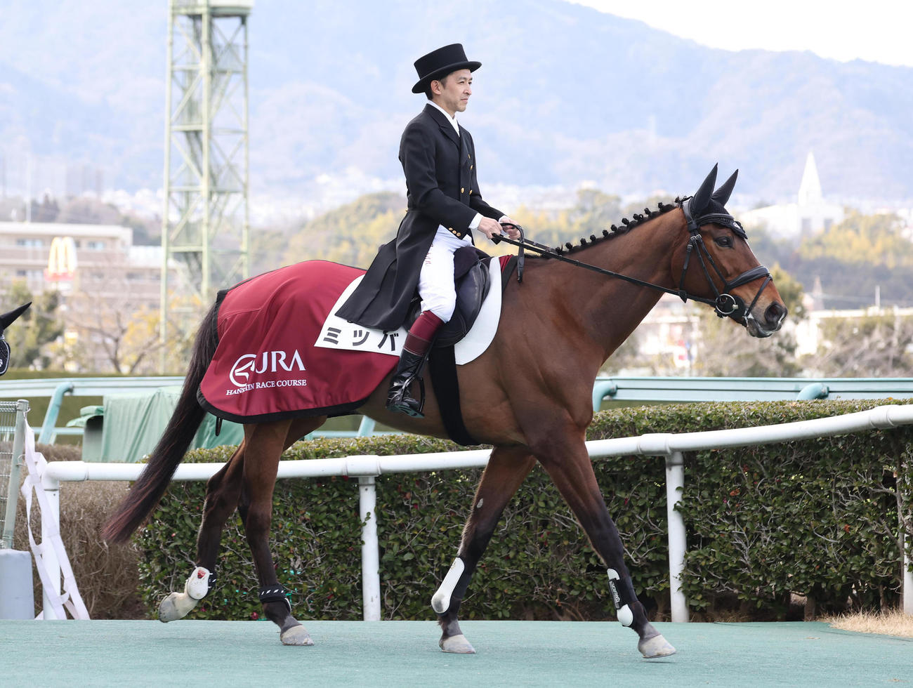 チューリップ賞の誘導馬ミツバに騎乗する福永師（撮影・白石智彦）