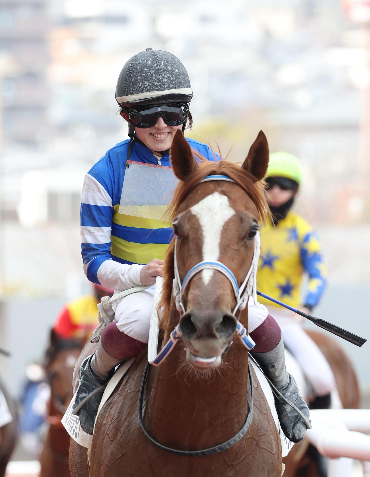 阪神6R、今村騎手を背に3歳1勝クラスを制したベンダバリラビア（撮影・白石智彦）