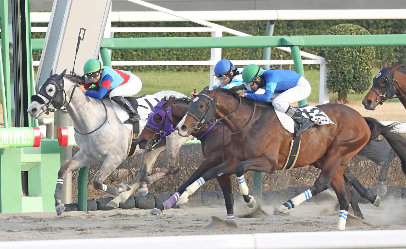 中山12R、わずかに及ばず3着に敗れたクリーンドリーム（左）と小林美駒騎手（撮影・丹羽敏通）