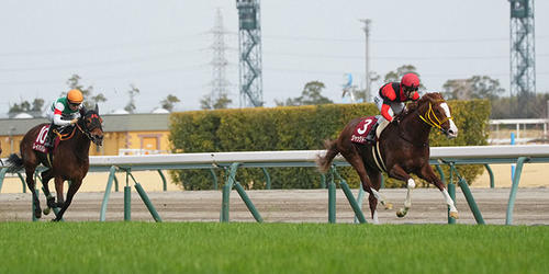 金鯱賞をレコードで逃げ切り勝ちしたジャックドール=2022年3月13日、中京競馬場