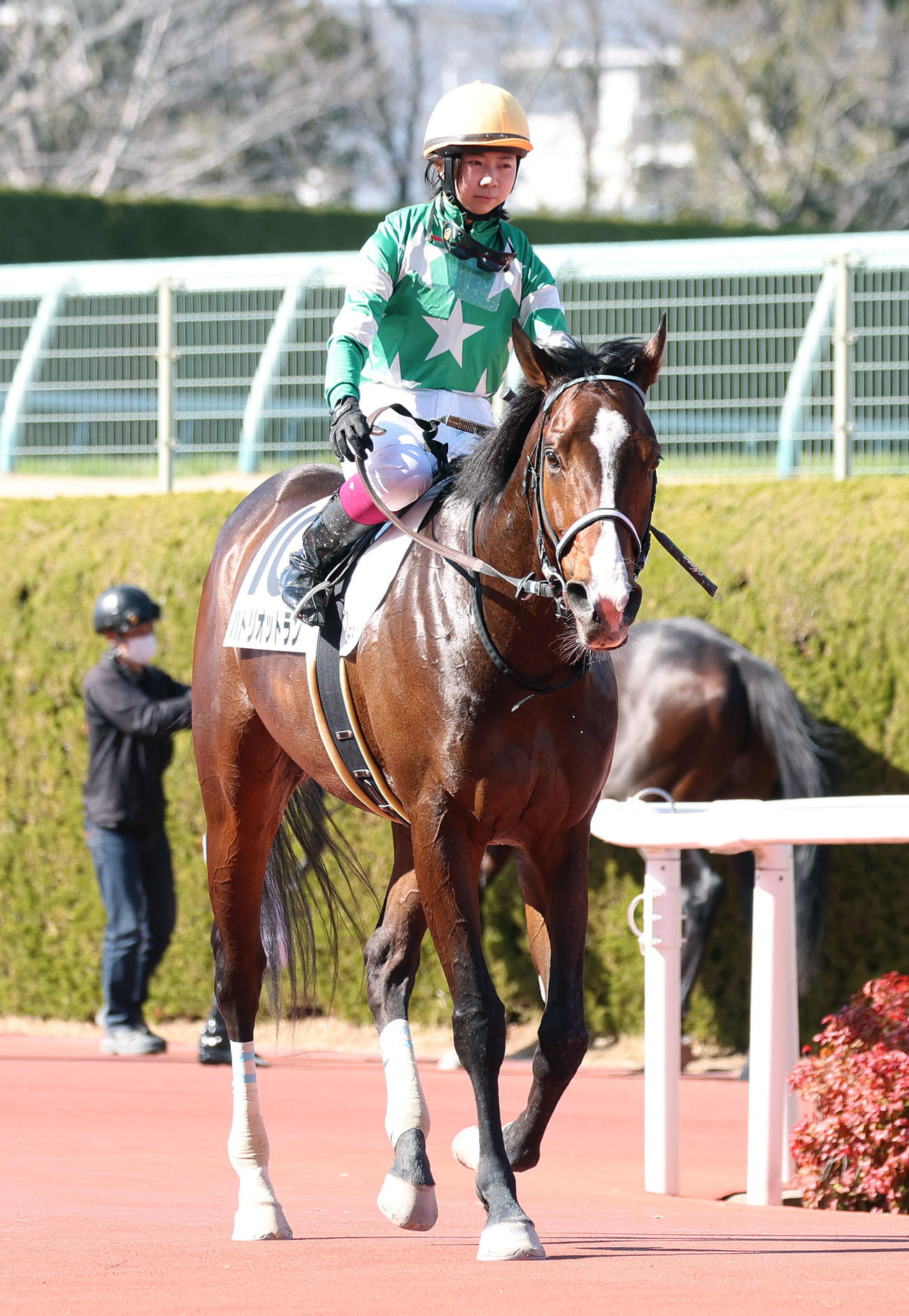 阪神9R、パトリオットランで逃げるも7着に終わり引き揚げる河原田騎手（撮影・白石智彦）