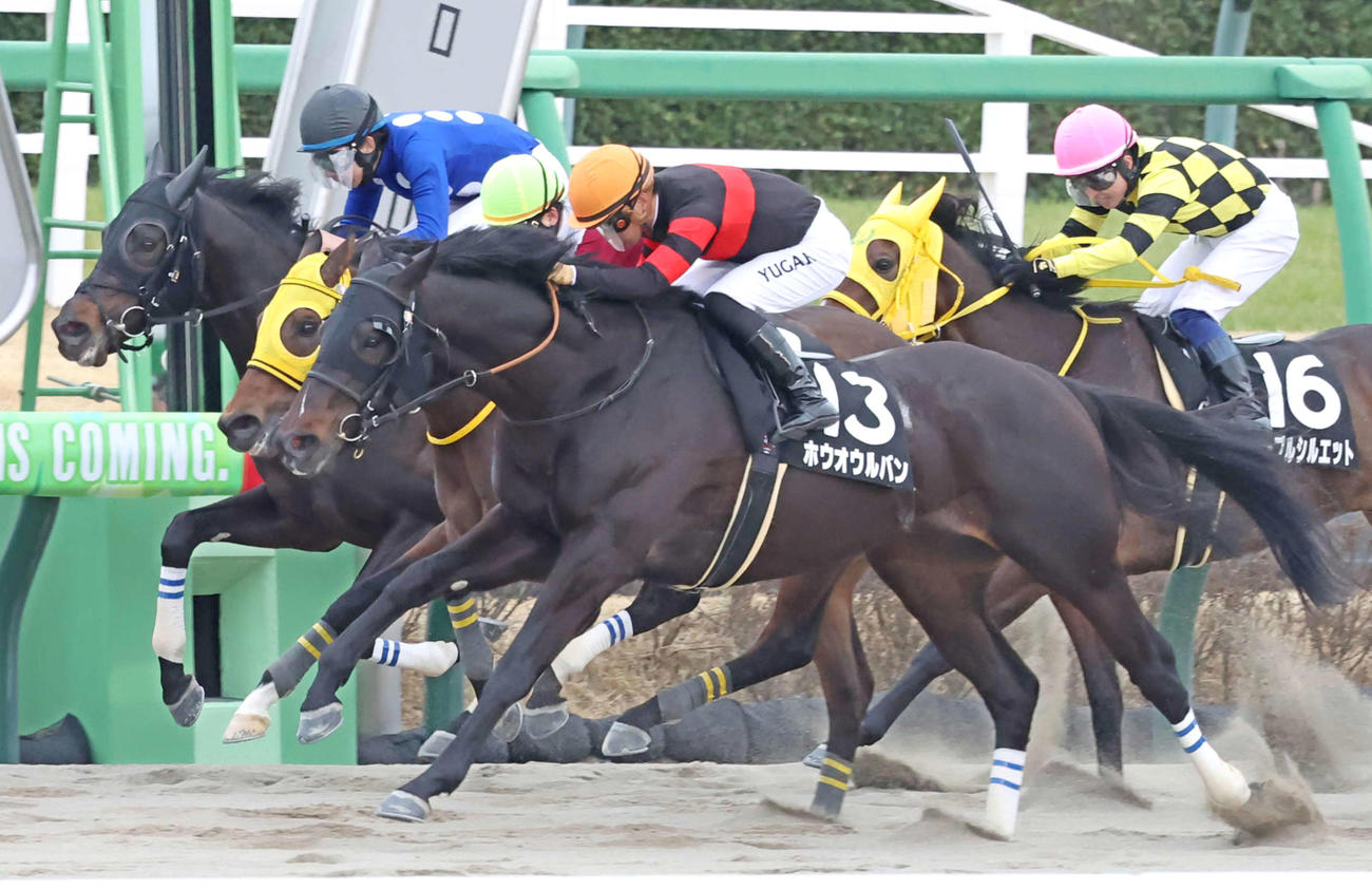 ゴール手前で差し切って総武Sを制したホウオウルバンと川田騎手（手前）（撮影・丹羽敏通）