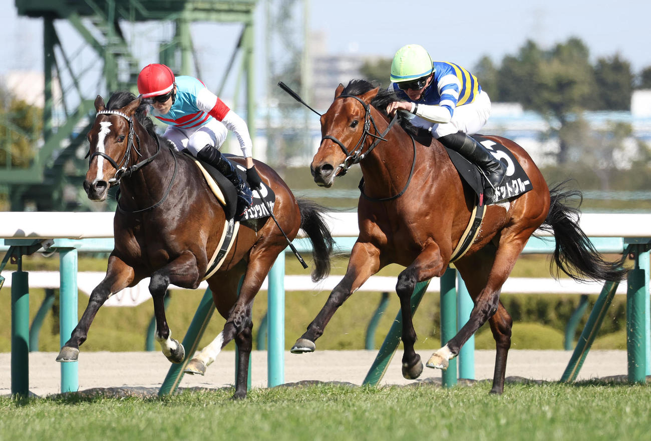 ドットクルー（右）がアルメリア賞を制した（撮影・白石智彦）