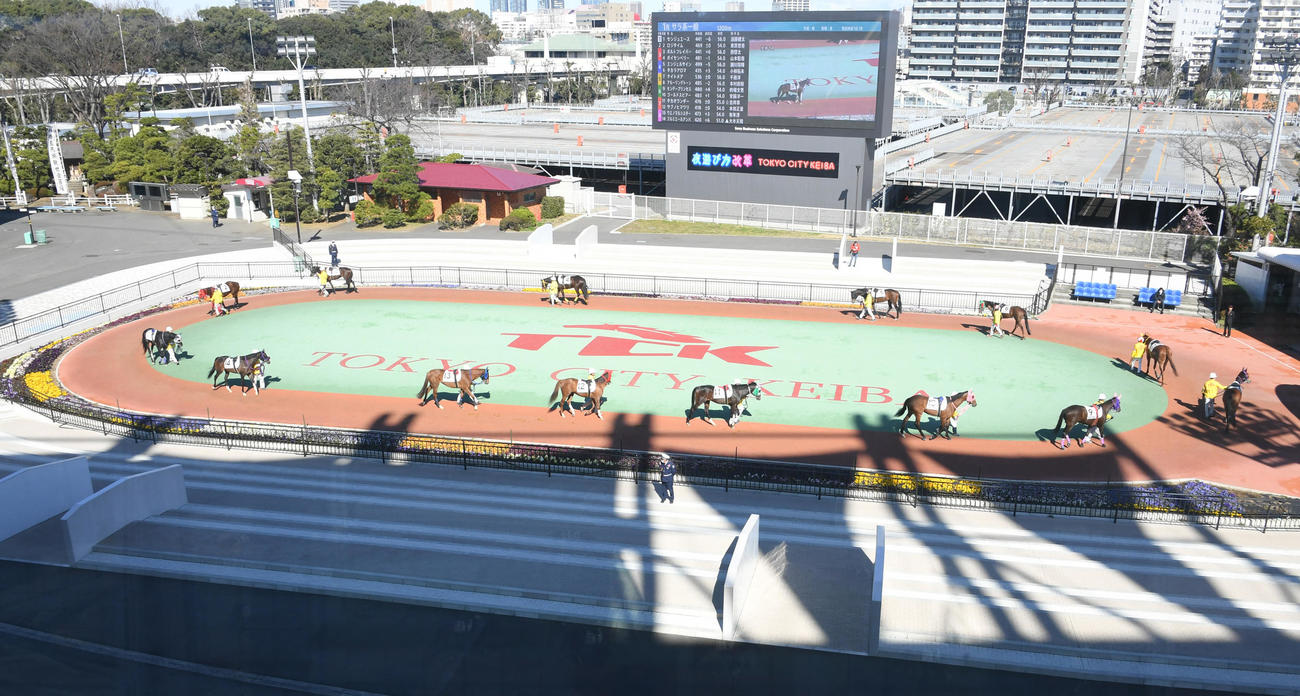 大井競馬場（2020年2月撮影）