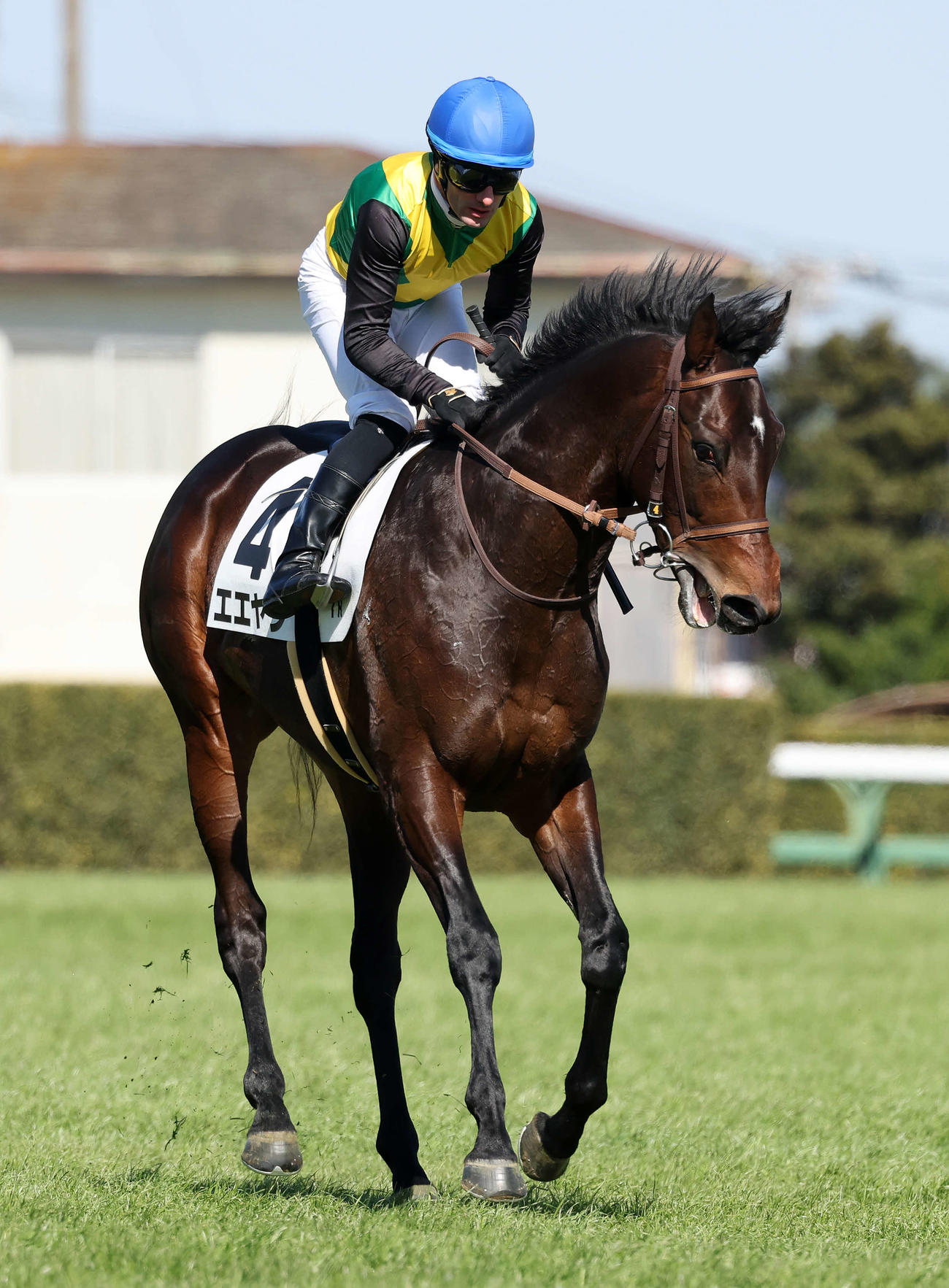 3歳1勝クラスを制したエエヤンとM・デムーロ騎手（2023年2月26日撮影）