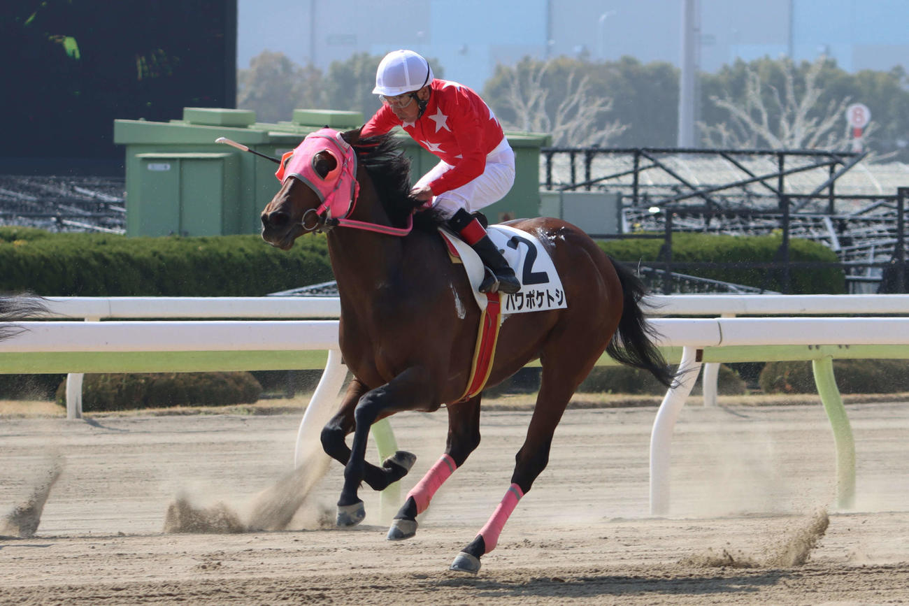 パワポケトシがゴール前で差し切り、騎乗した大井の的場文男騎手は地方競馬通算7400勝を達成
