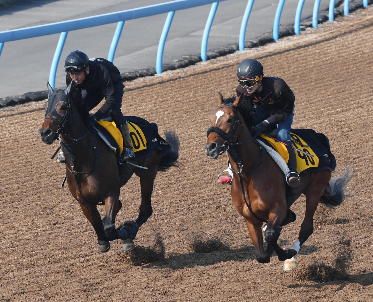 アラタ（左）はレイトカンセイオーと併せて追い切る（撮影・柴田隆二）