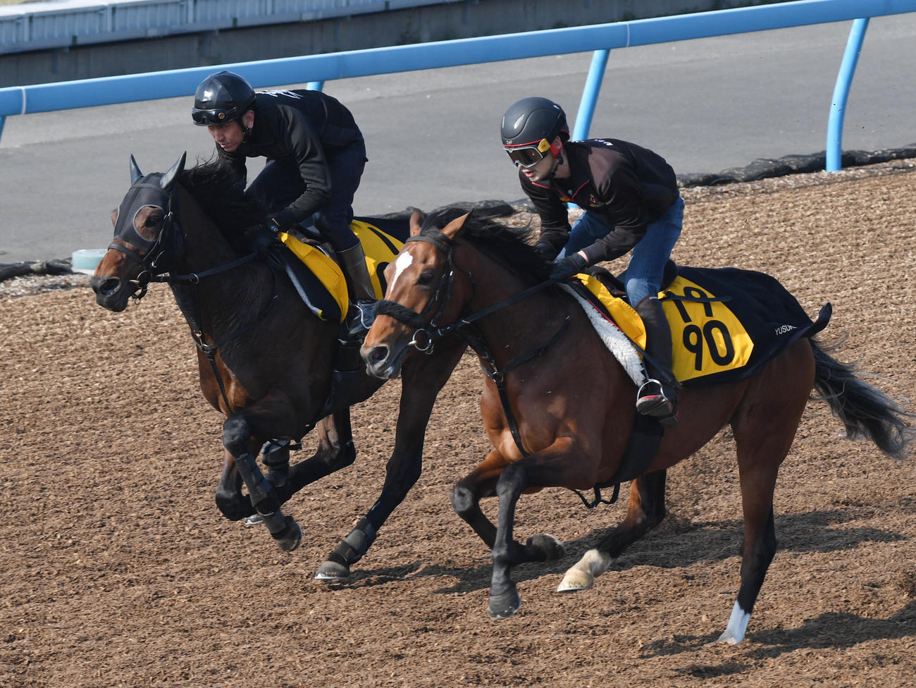 アラタ（左）はレイトカンセイオーと併せて追い切る（撮影・柴田隆二）