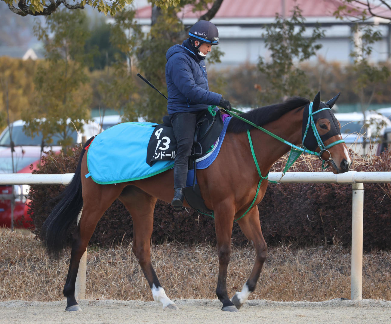 運動するブトンドール
