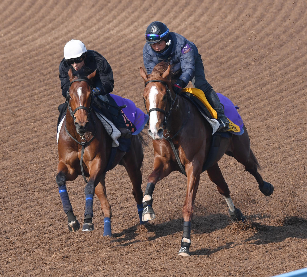 石橋騎手を背にリバーラ（左）はトウシンマカオと併せて追い切る（撮影・柴田隆二）