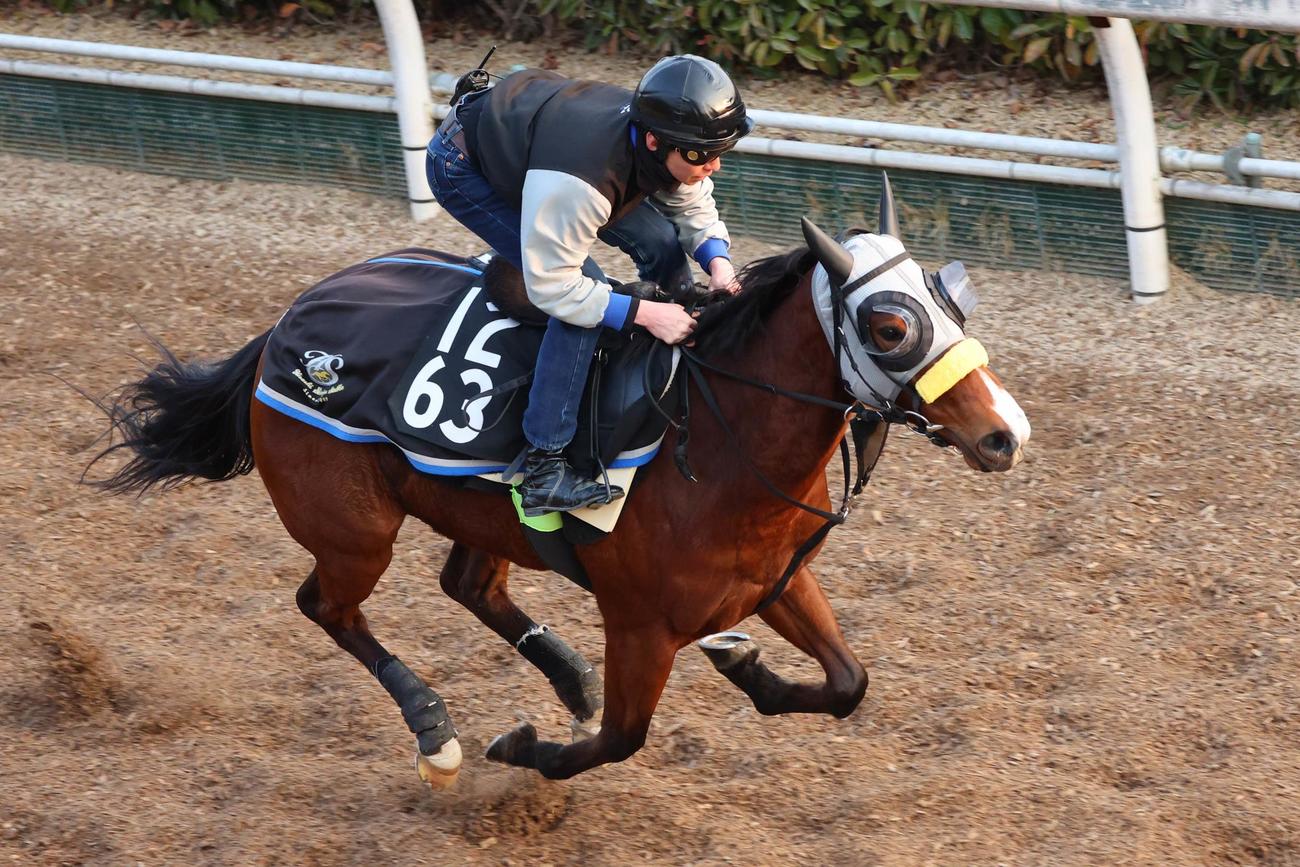 坂路を馬なりで駆け上がるルーフ
