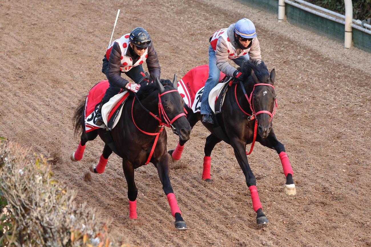 併せ馬で追い切られたヤマニンサルバム。左はフォイアーロート