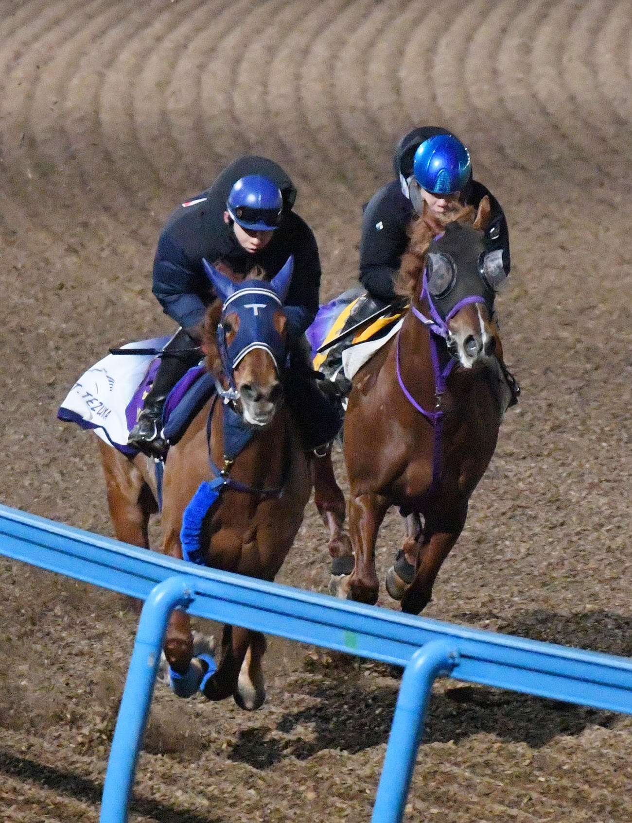 併せて追い切る嶋田騎手騎乗のウインマリリン（左）と三浦騎手騎乗のウインカーネリアン（撮影・柴田隆二）