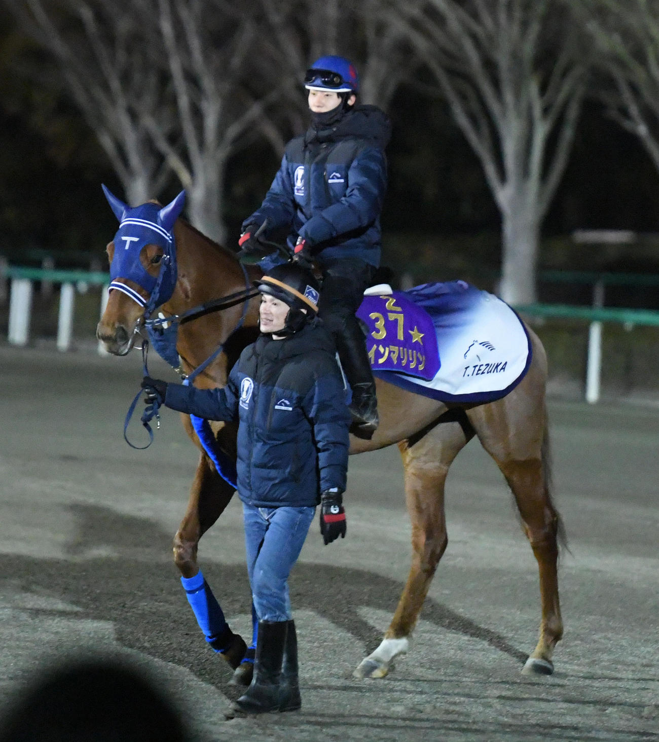 ドバイ遠征に向け馬場入りするウインマリリン（撮影・柴田隆二）