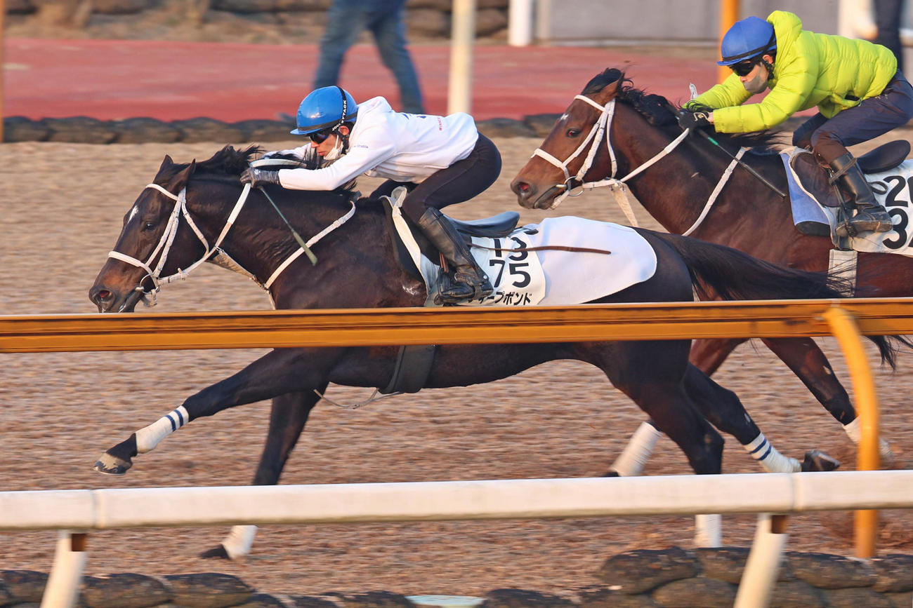 和田竜騎手が騎乗し、併せ馬に先着するディープボンド（左）