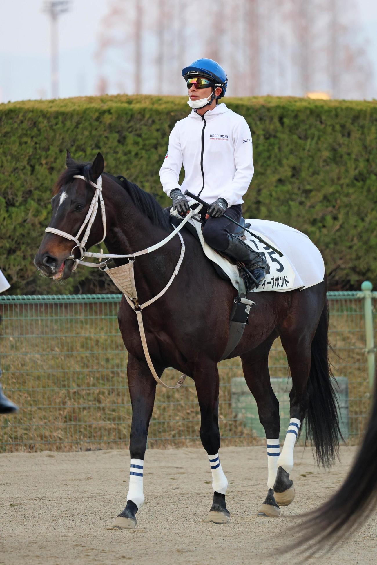 和田竜二騎手とのコンビに戻って阪神大賞典3連覇を目指すディープボンド