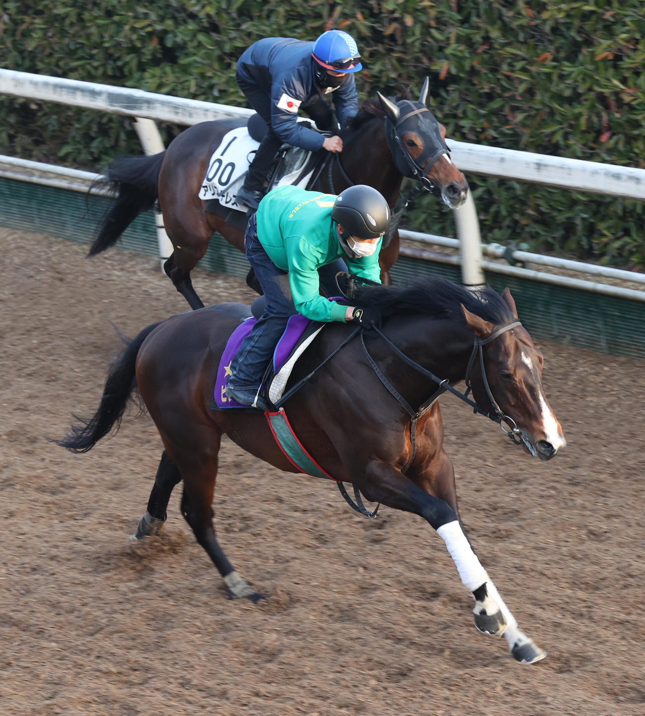 ピクシーナイト（手前）は坂路でアリストテレスと併せて追い切り1馬身先着