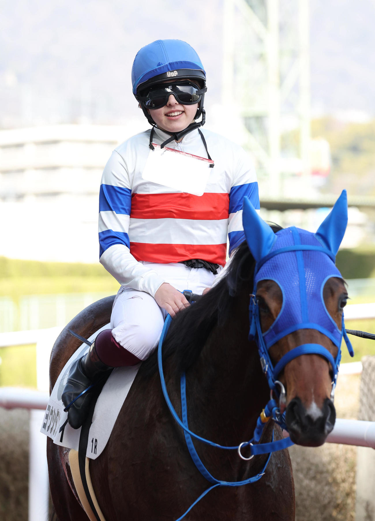 阪神1R、今村騎手を背に3歳未勝利を勝ち上がったヨウシタンレイ（撮影・白石智彦）
