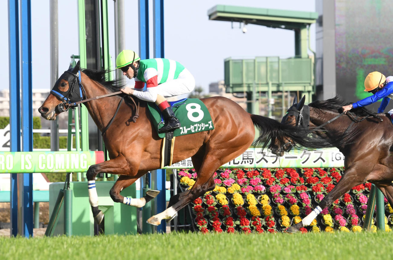 中山牝馬Sを制したスルーセブンシーズ（撮影・柴田隆二）
