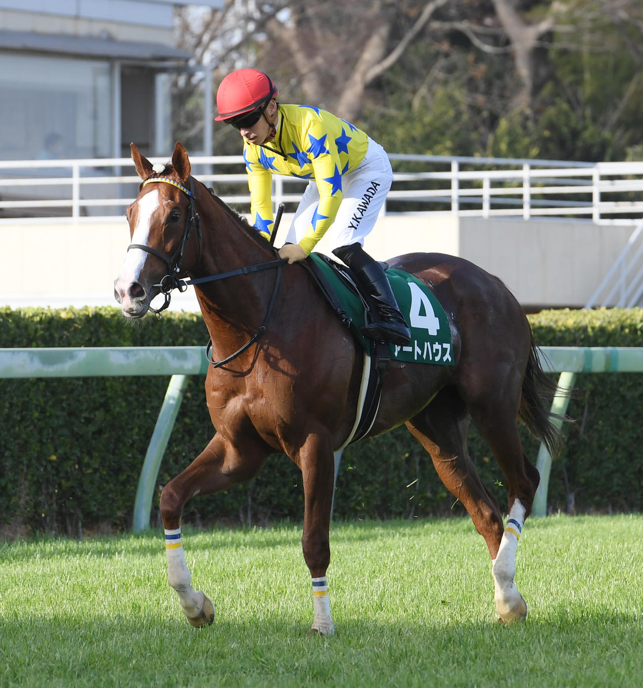 中山牝馬Sで4着に敗れたアートハウスと川田騎手（撮影・柴田隆二）