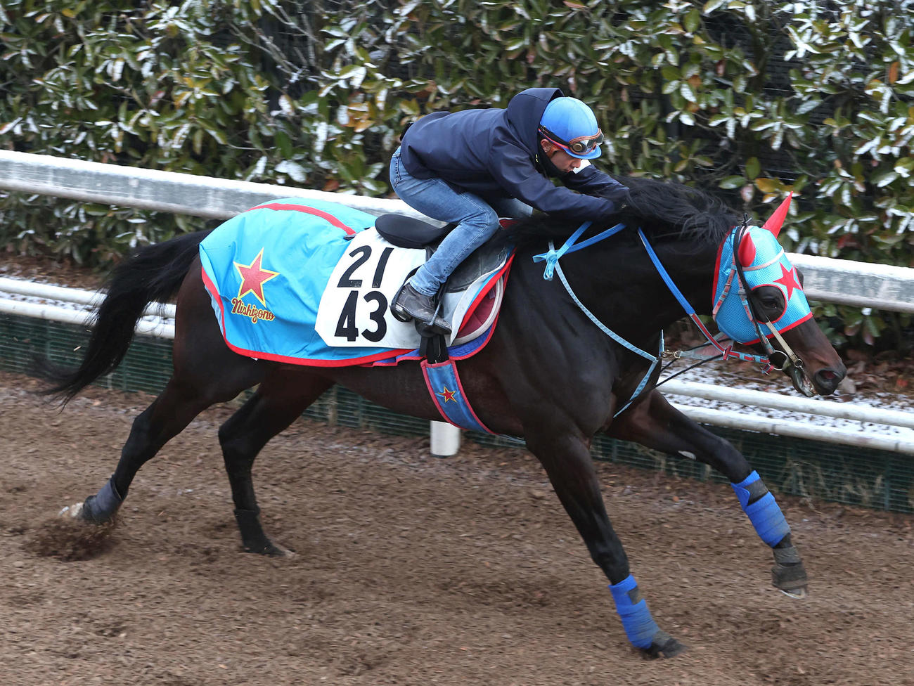 直近2戦を連勝し本格化したメイショウフンジンが、初重賞制覇へ挑む