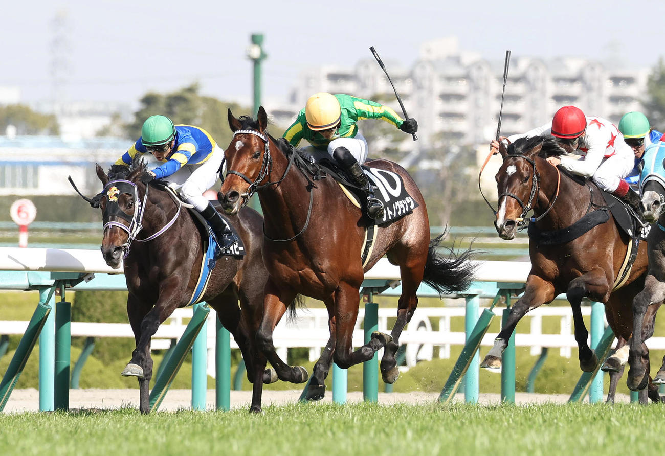 直線抜け出してゆきやなぎ賞を制したサトノグランツ（中央）（撮影・白石智彦）
