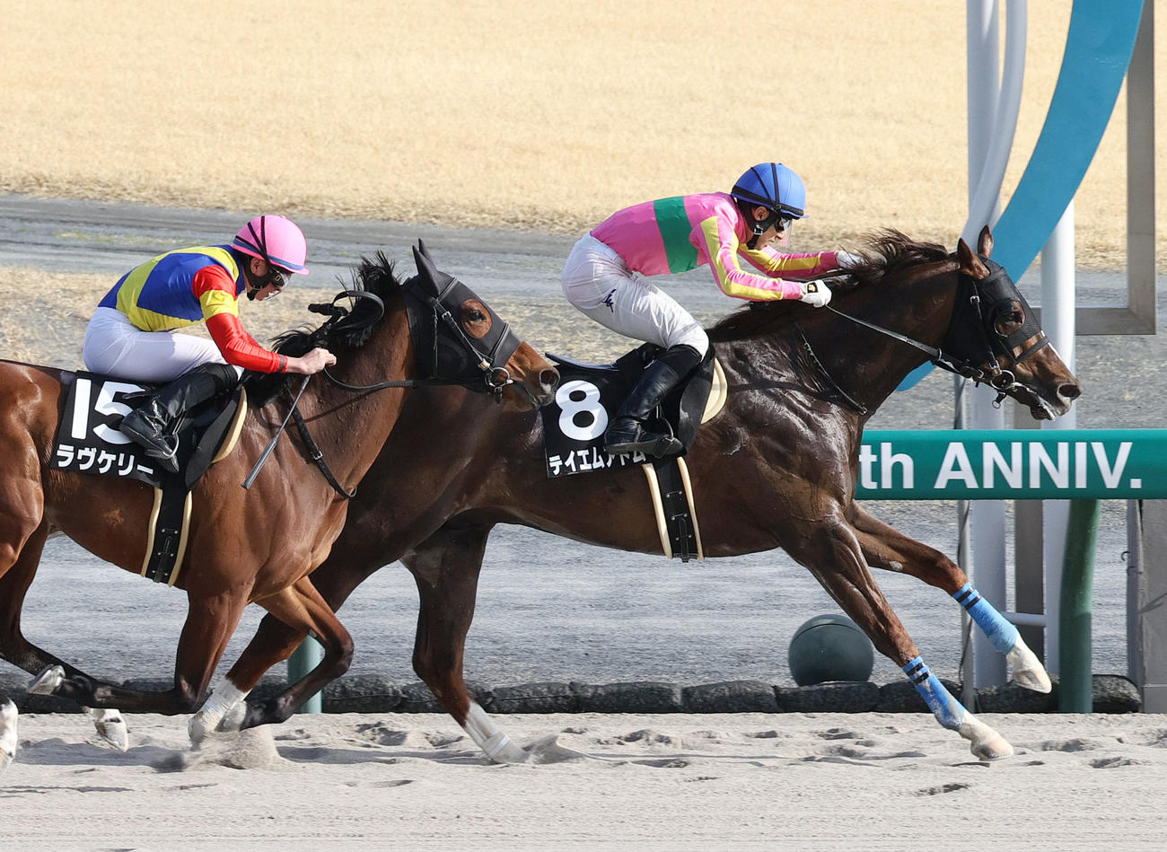 中京11R、中京スポーツ杯を制したテイエムアトム（撮影・上山淳一）