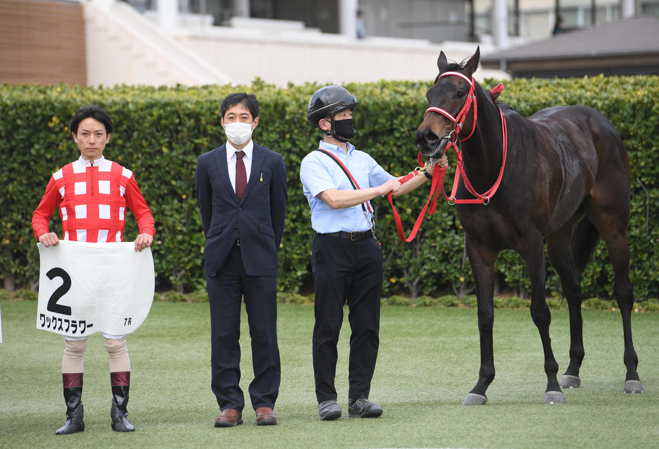 中山7Rを制したワックスフラワーと黛弘人騎手（左）、深山雅史調教師（中央）（撮影・柴田隆二）