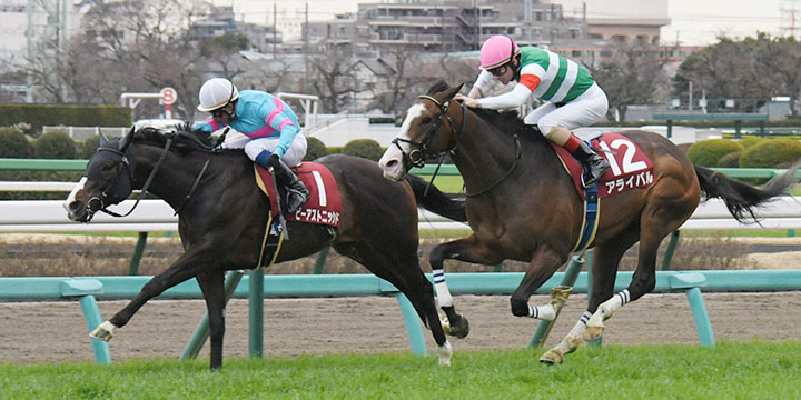 逃げたビーアストニッシド（左）が、アライバルの追撃を抑えスプリングSを制した＝2022年3月20日、中山競馬場