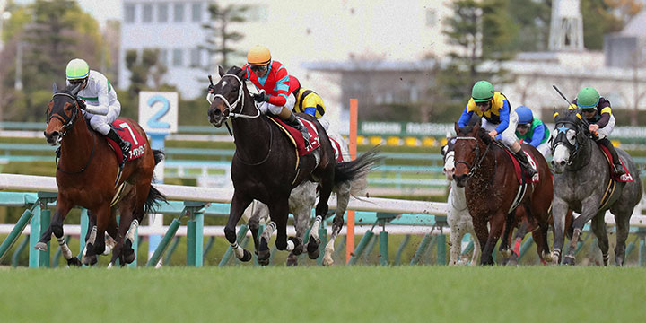 ディープボンド（左から2頭目）が阪神大賞典を連覇した＝2022年3月20日、阪神競馬場