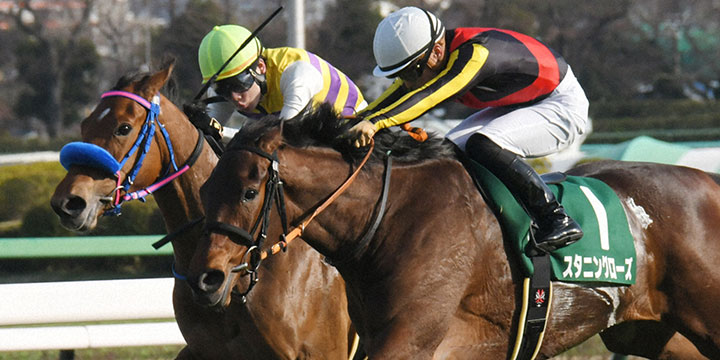 直線力強く抜け出したスタニングローズがフラワーCを制した＝2022年3月21日、中山競馬場