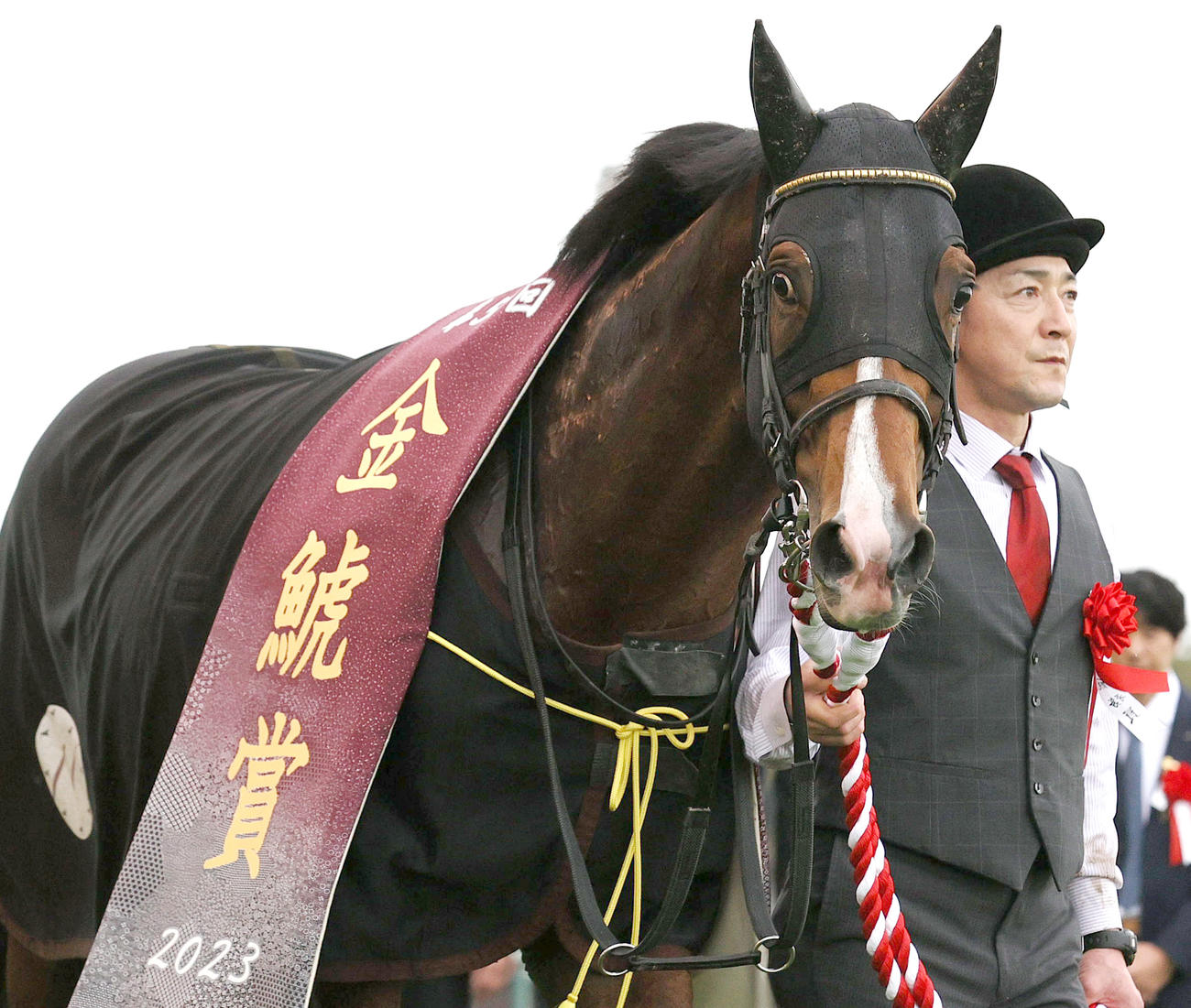 金鯱賞を制したプログノーシス（撮影・上山淳一）