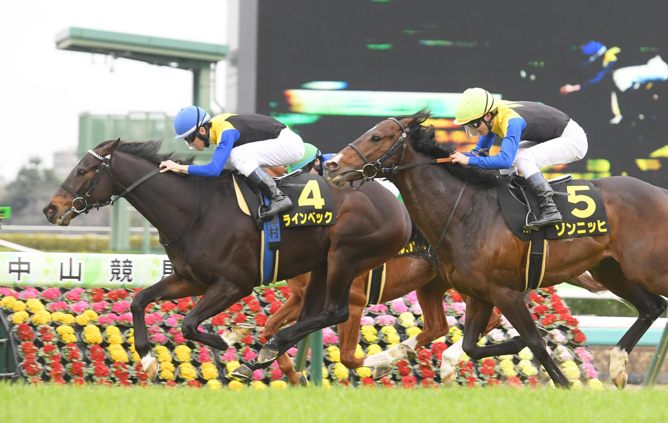 東風Sを制したラインベック（左）、2着ゾンニッヒ（撮影・柴田隆二）