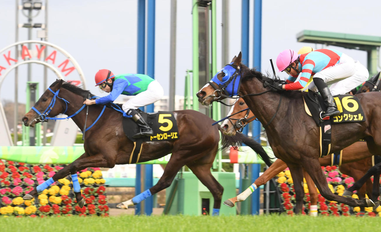 アネモネSを制したトーセンローリエ（左）（撮影・柴田隆二）