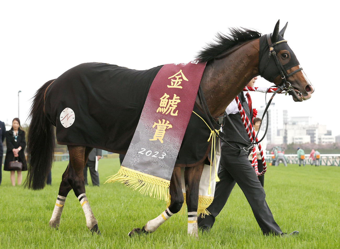 金鯱賞を制したプログノーシス（撮影・上山淳一）