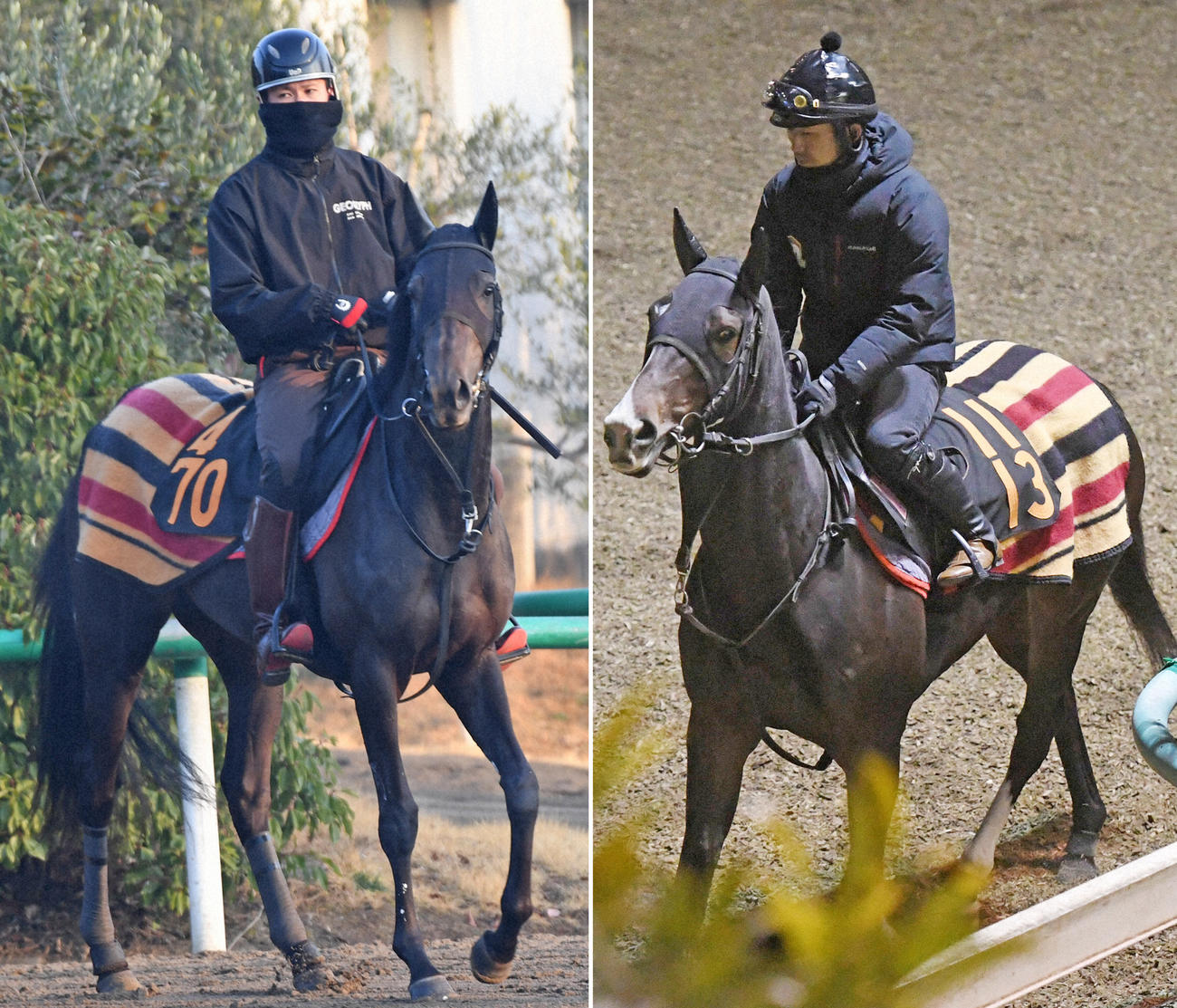 フラワーCに2頭出しで挑む木村厩舎のココクレーター（左）とヒップホップソウル