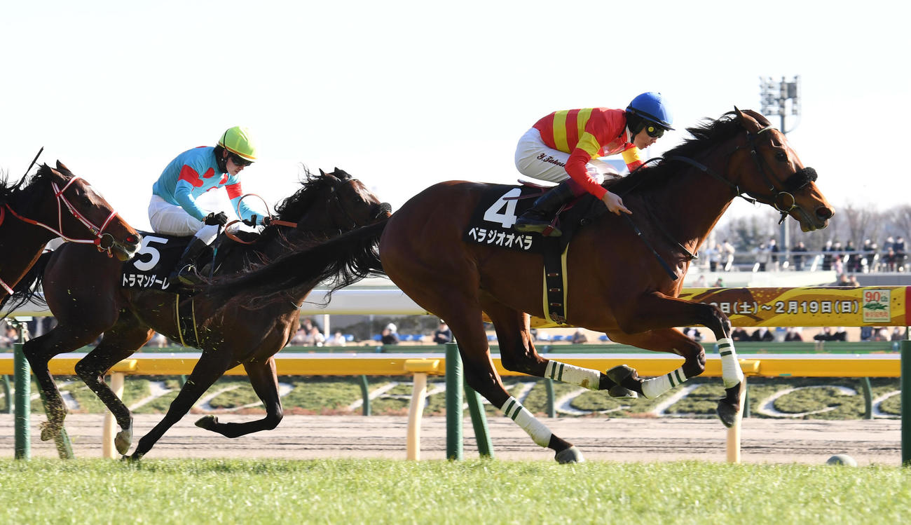 セントポーリア賞を制したベラジオオペラ（右）（2023年1月29日撮影）