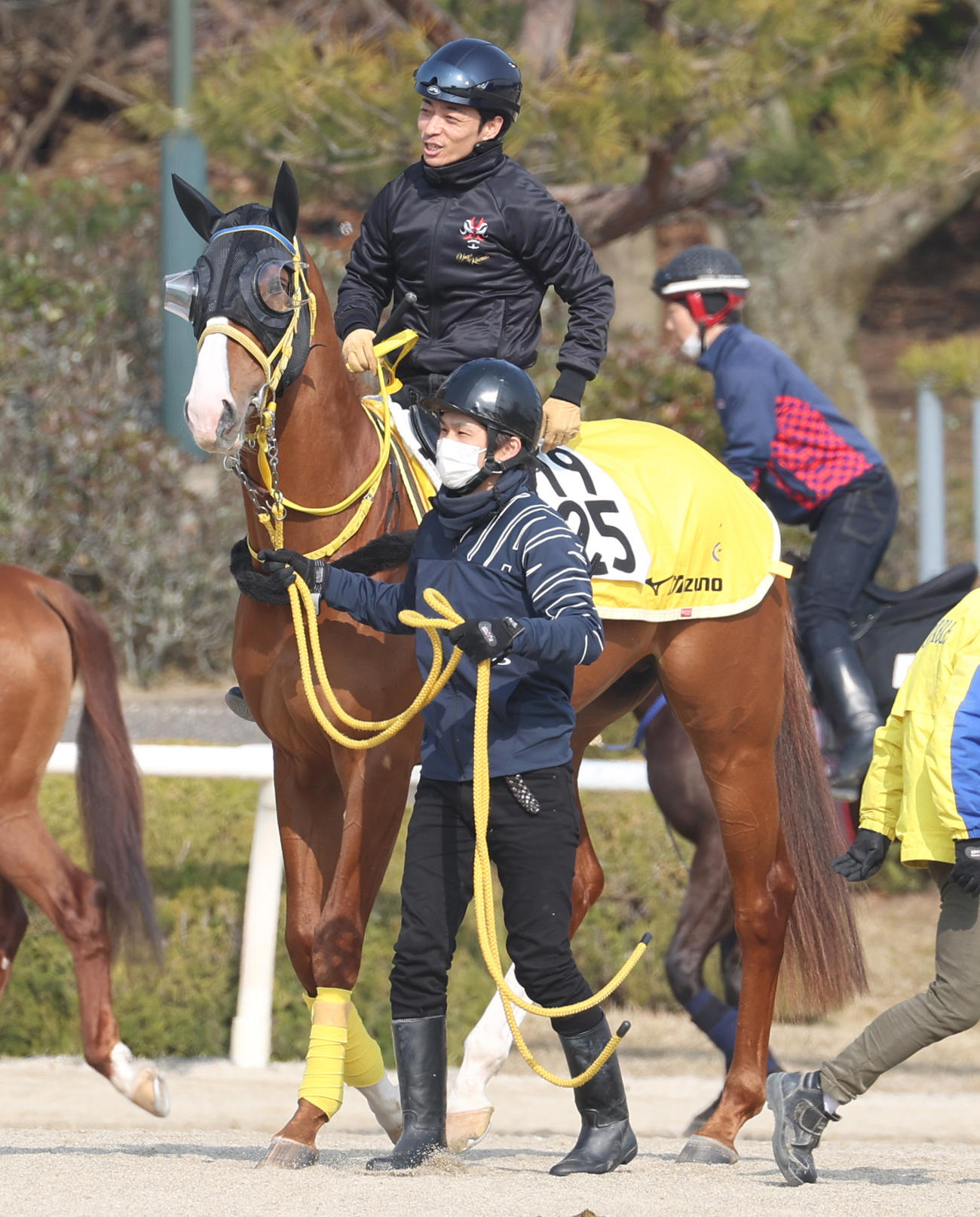 阪神大賞典で重賞初タイトルを狙うボルドグフーシュ