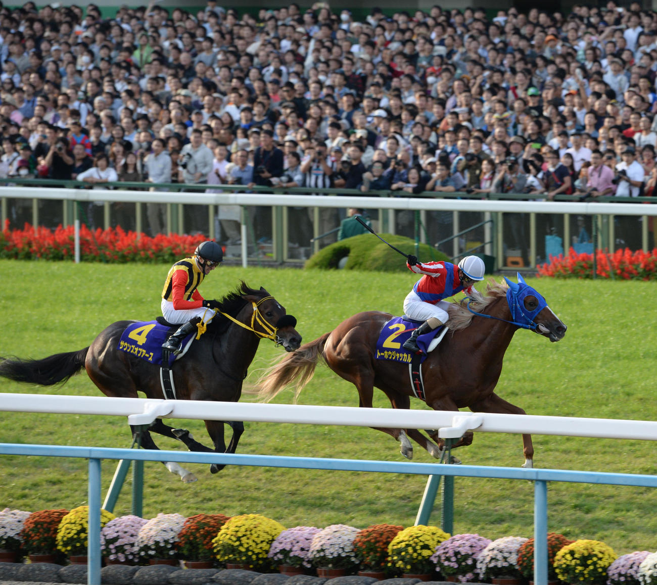 14年10月、トーホウジャッカル（右）がサウンズオブアースを抑え菊花賞を制した