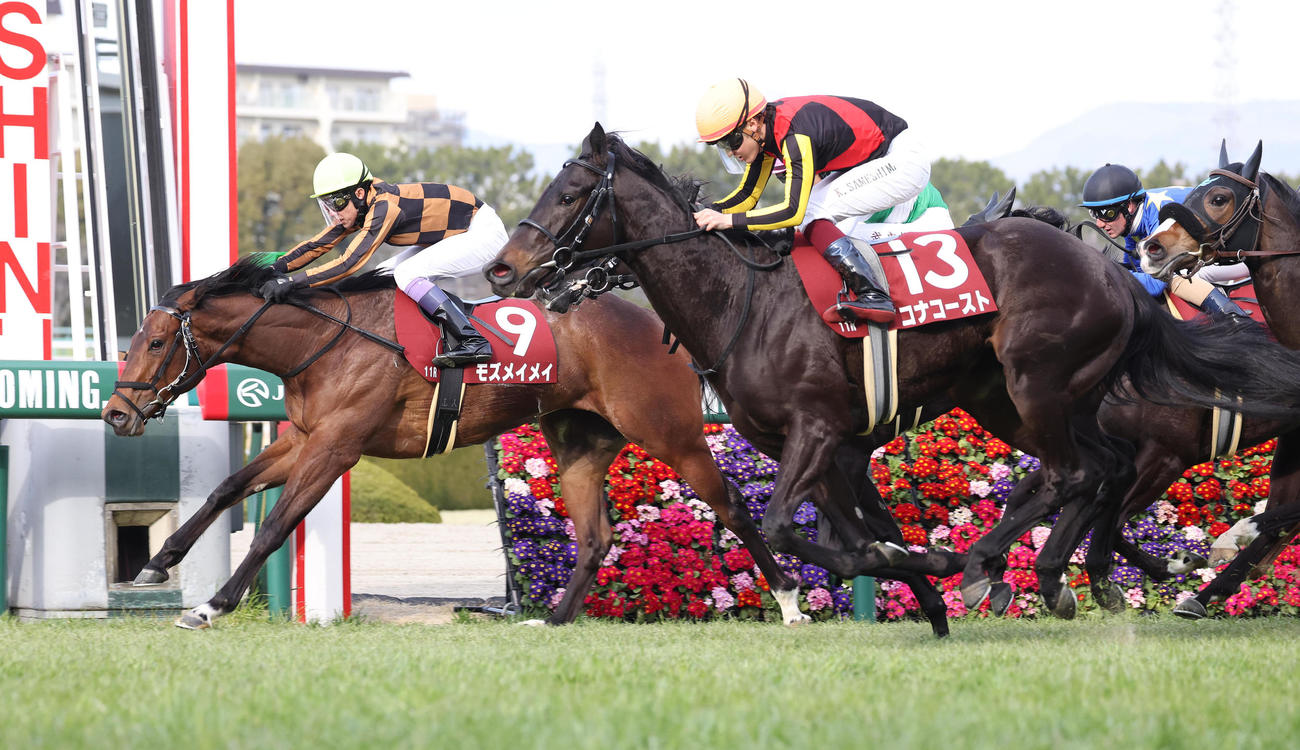 逃げ切ってチューリップ賞を制したモズメイメイ（2023年3月4日撮影）