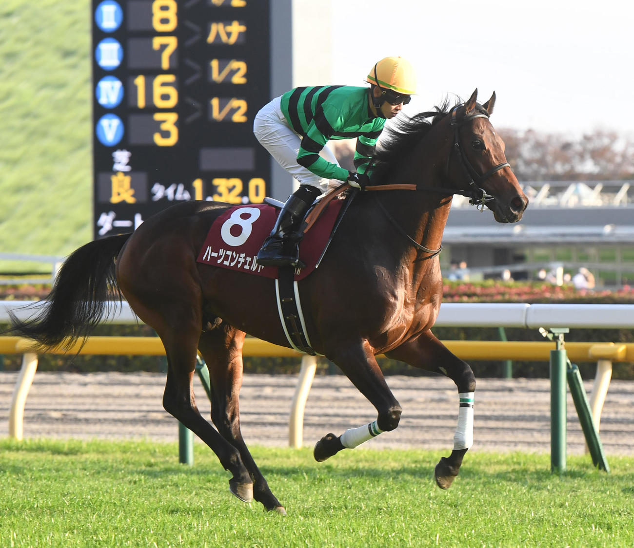 ハーツコンチェルトと松山騎手（22年11月19日撮影）