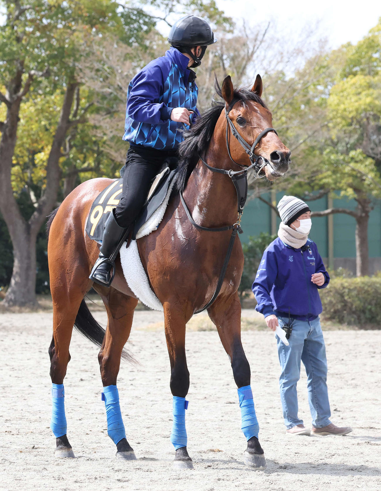 調教を終えて馬場を出るホウオウビスケッツ。奥は奥村武師（撮影・丹羽敏通）